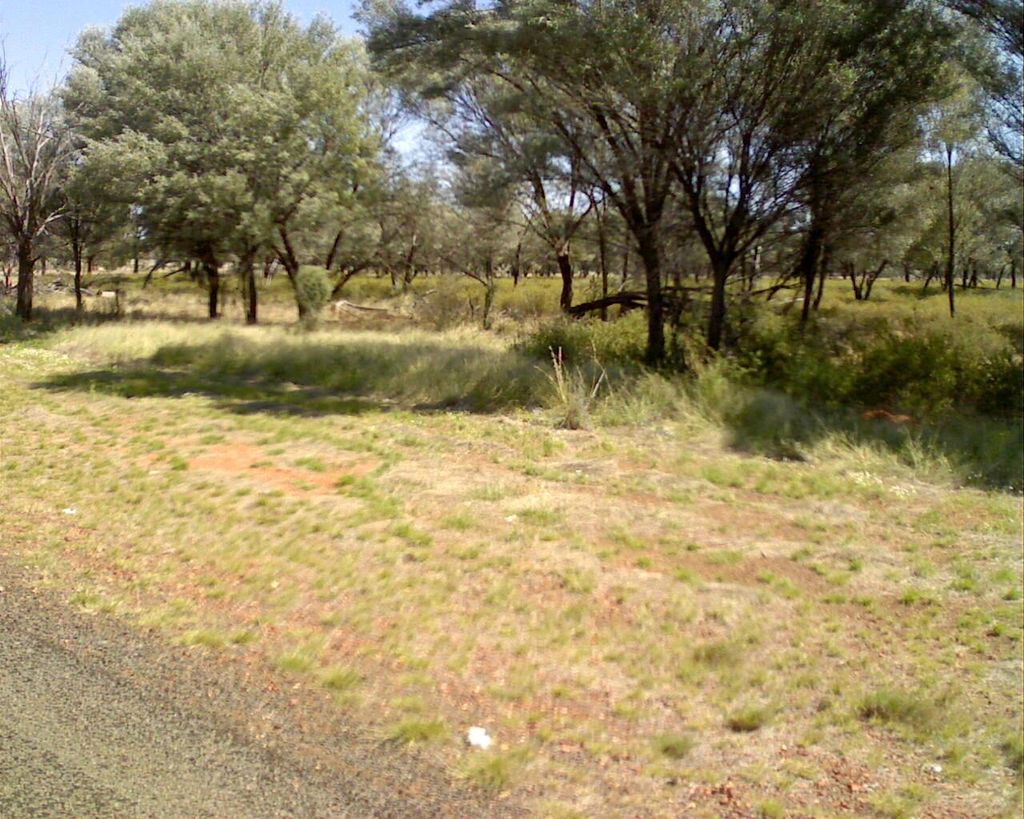Street view near Charlotte Plains Road