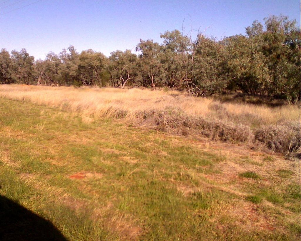 Street view near Eulo Street