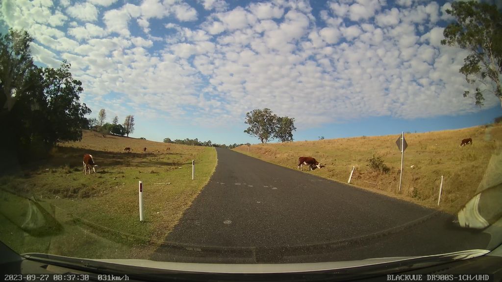 Street view near Plains Station Road