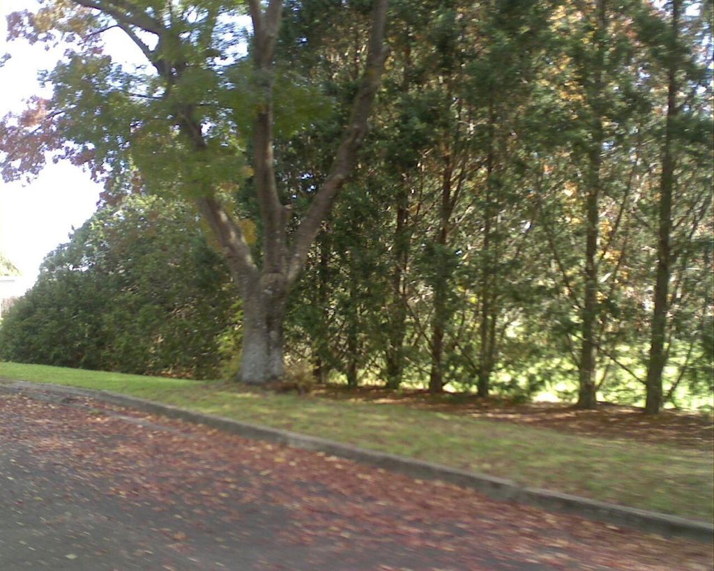 Street view near Taylor Street