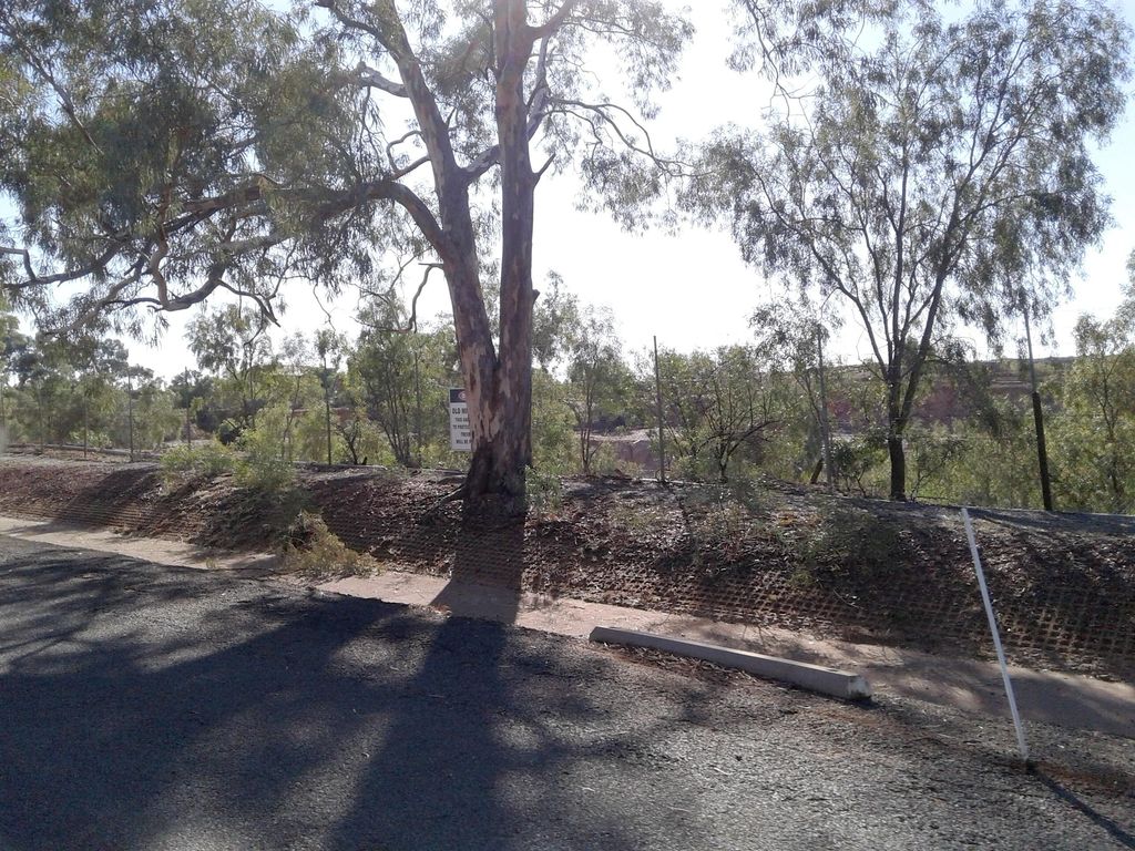 Street view near Lewis Street