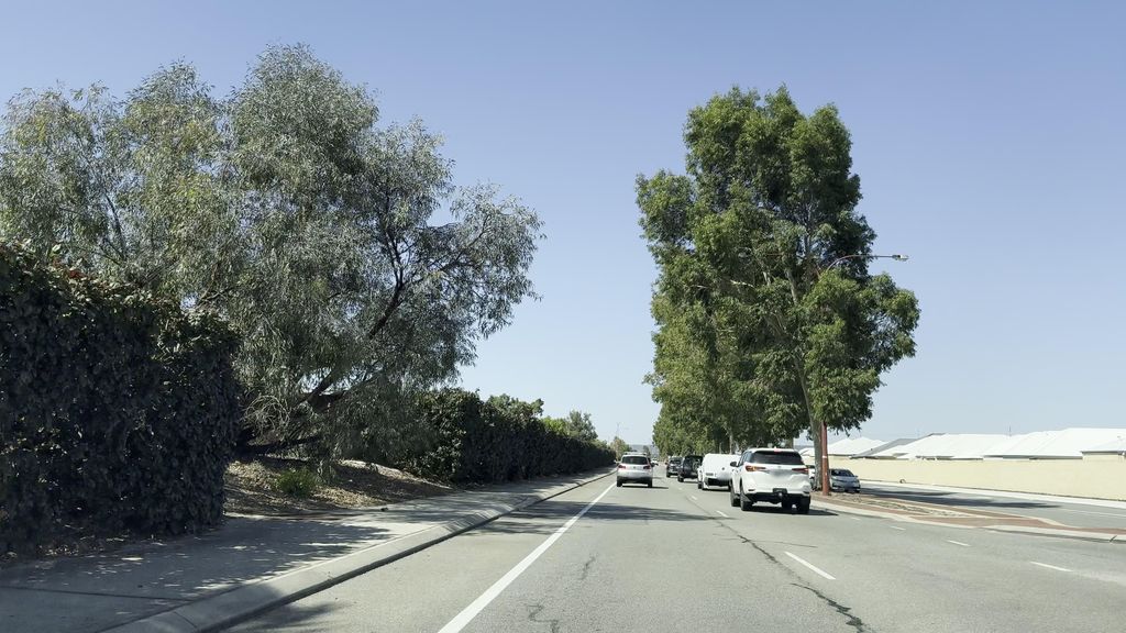 Street view near Nicholson Road