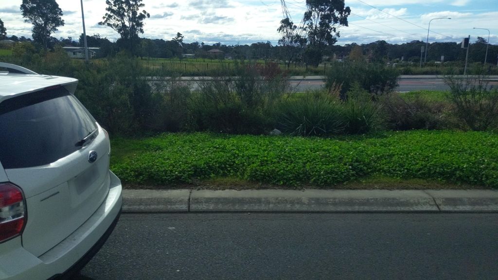 Street view near Carnarvon Road