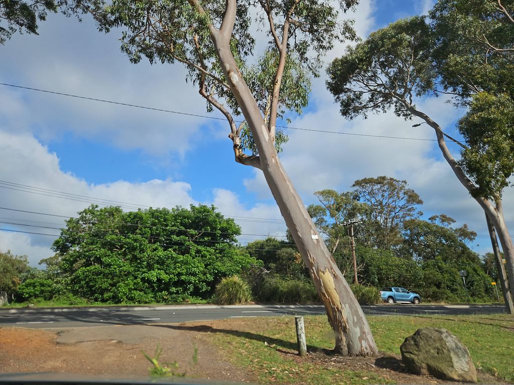 Street view near Forest Way