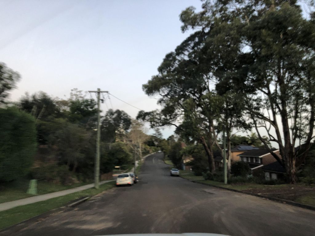 Street view near Sir Thomas Mitchell Drive
