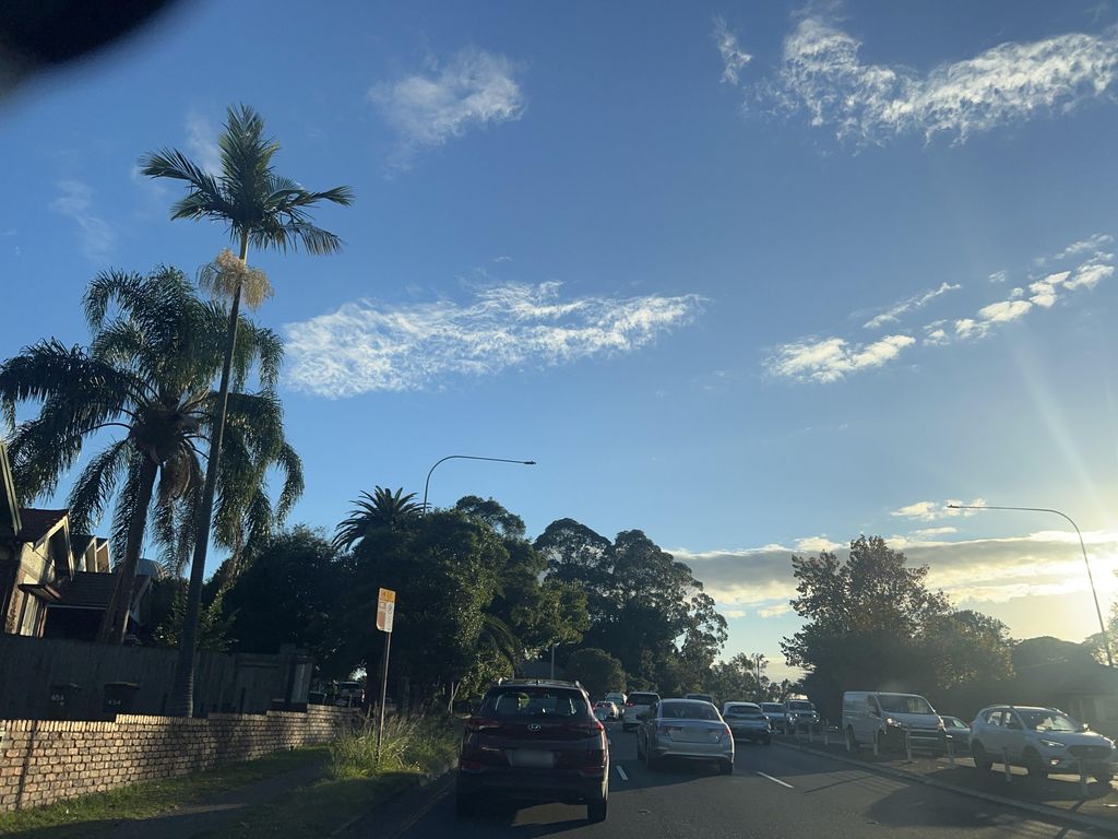 Street view near Llewellyn Street