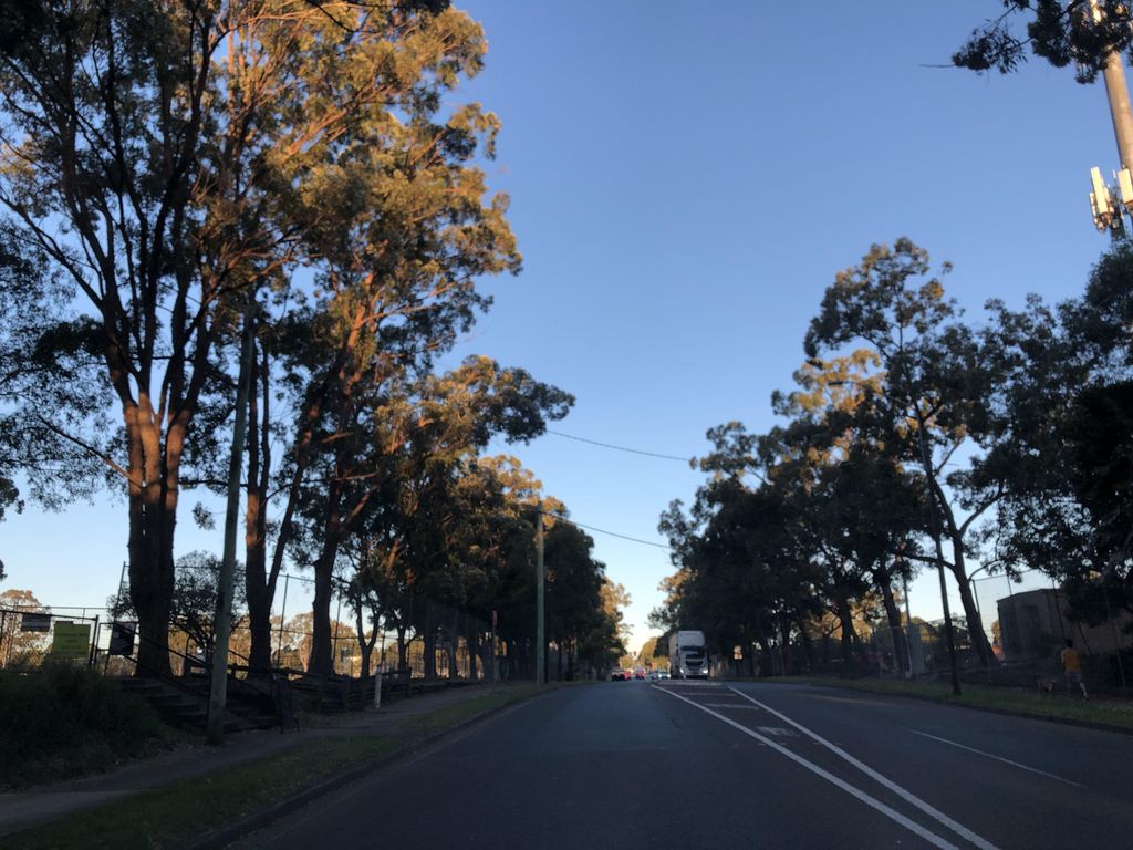 Street view near Wellington Road
