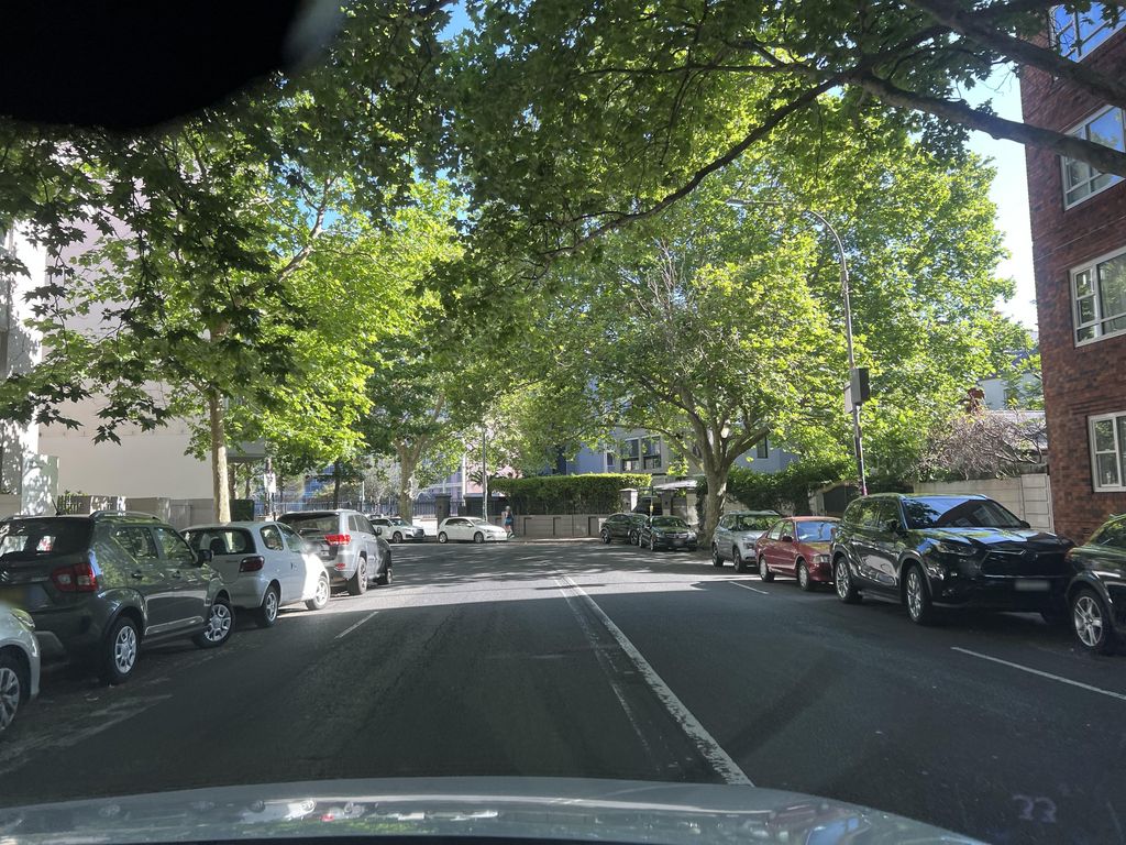 Street view near Macleay Street