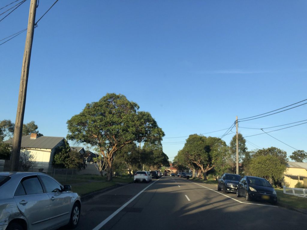 Street view near Jocelyn Street