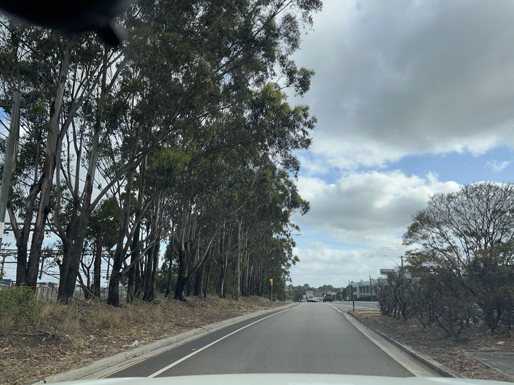 Street view near Roberts Road