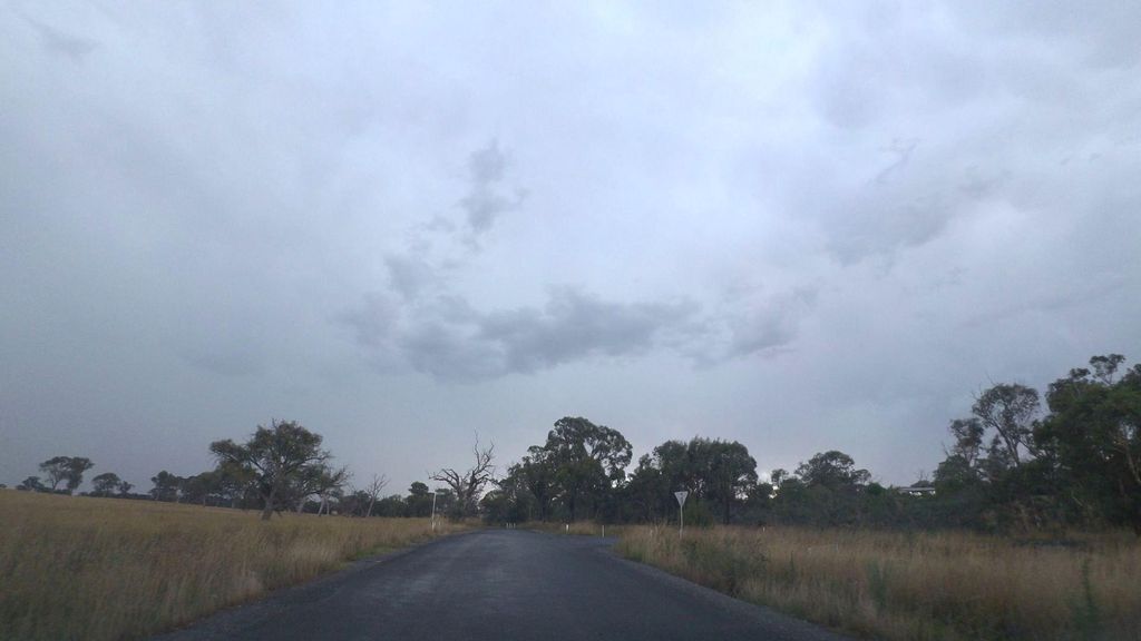 Street view near Dog Trap Road