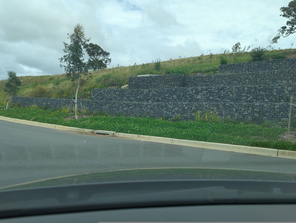 Street view near Reginald Road