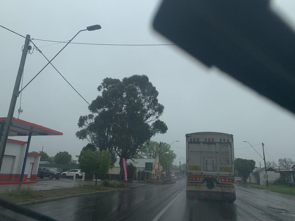 Street view near Neill Street