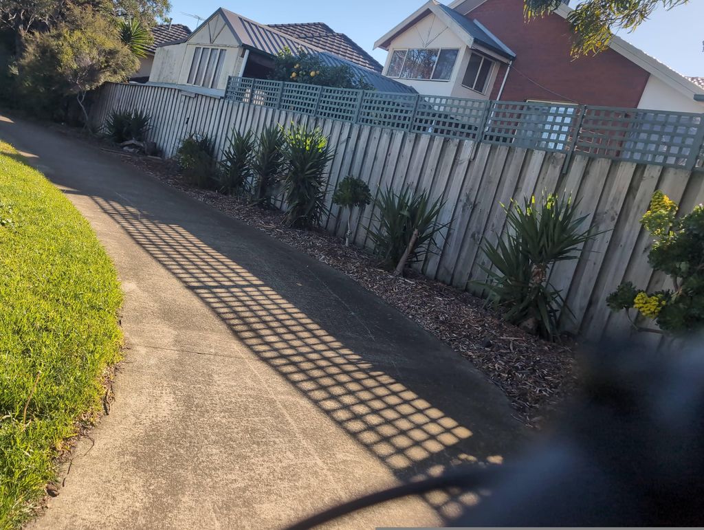 Street view near Lotus Court