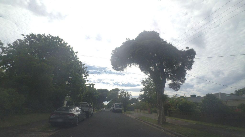Street view near Louise Street