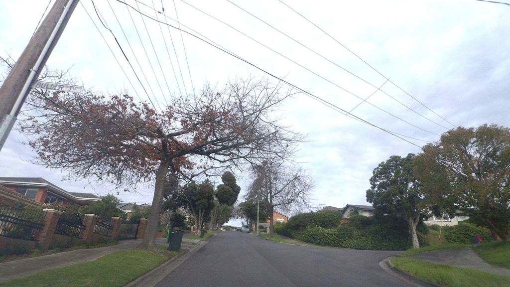 Street view near Howitt Drive