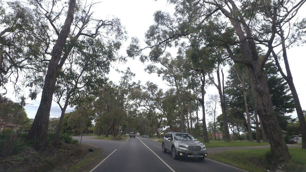 Street view near Louisa Street