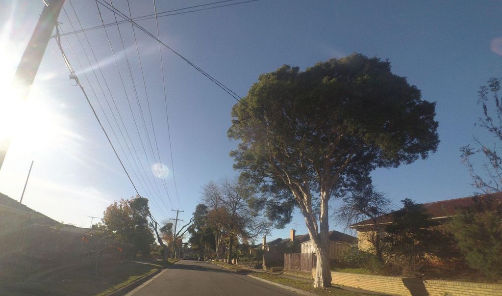 Street view near Katrina Street