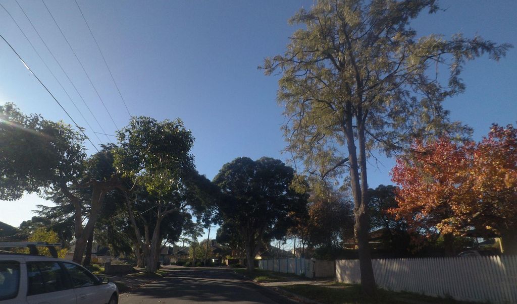 Street view near Katrina Street