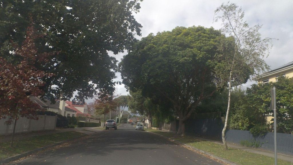 Street view near Serpentine Street