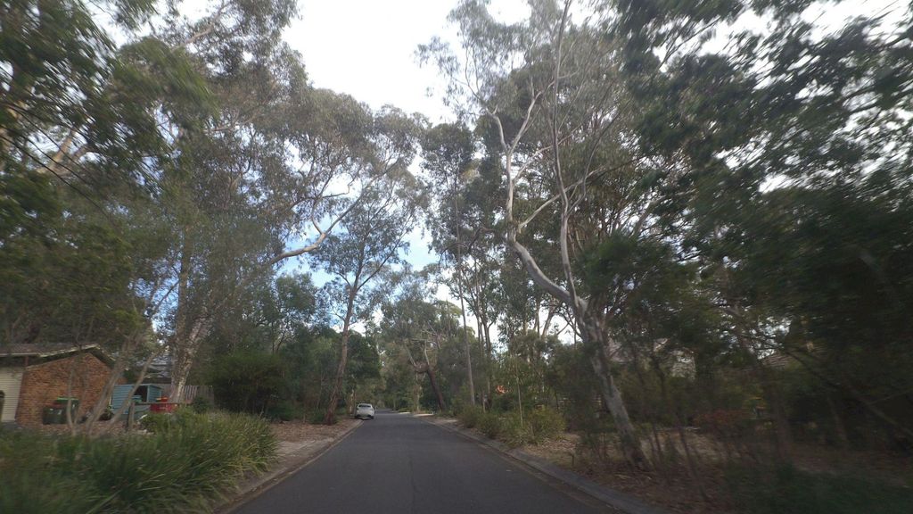 Street view near Myrtle Grove