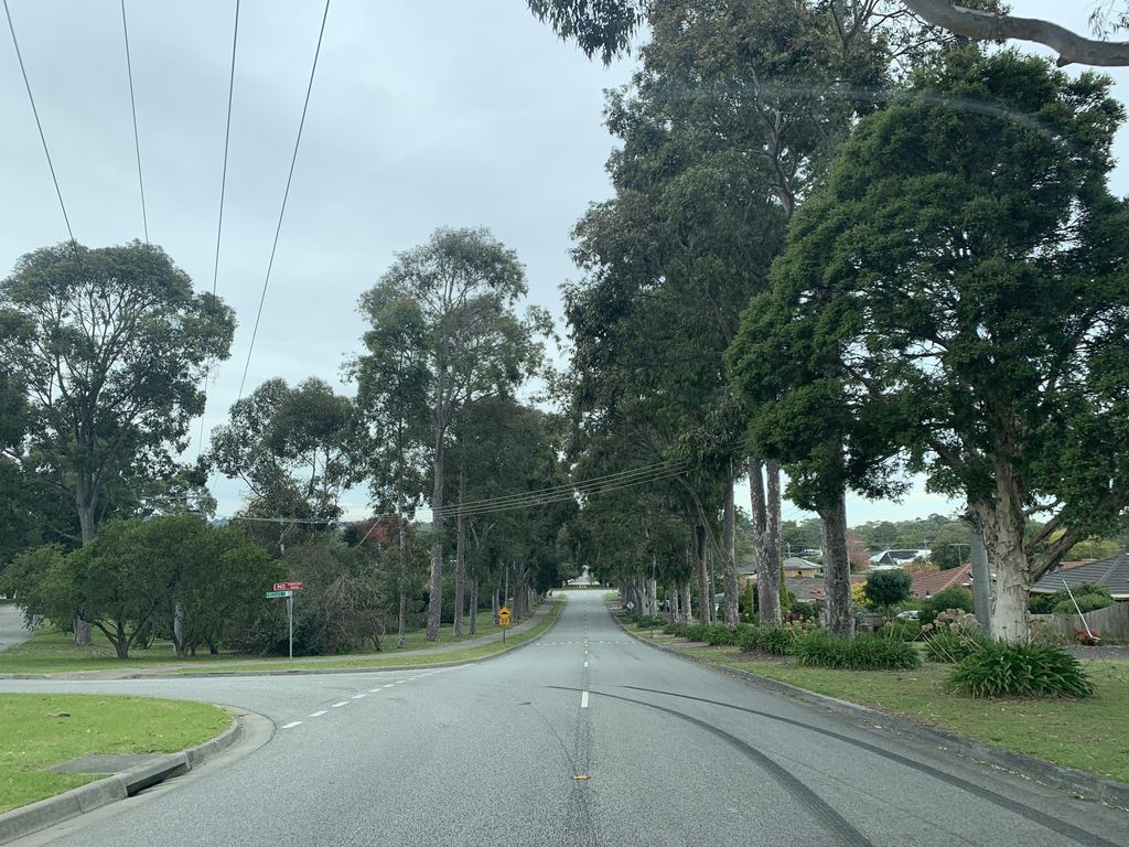 Street view near Neill Street