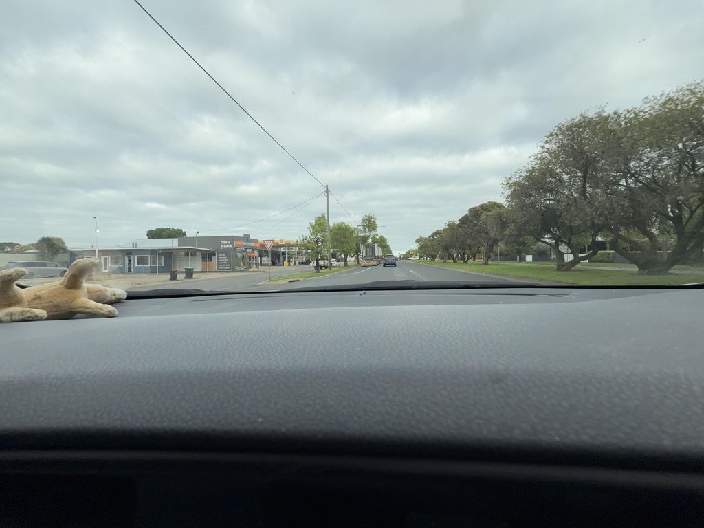 Street view near Dunlop Street