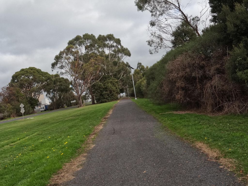 Street view near McKenzie Street