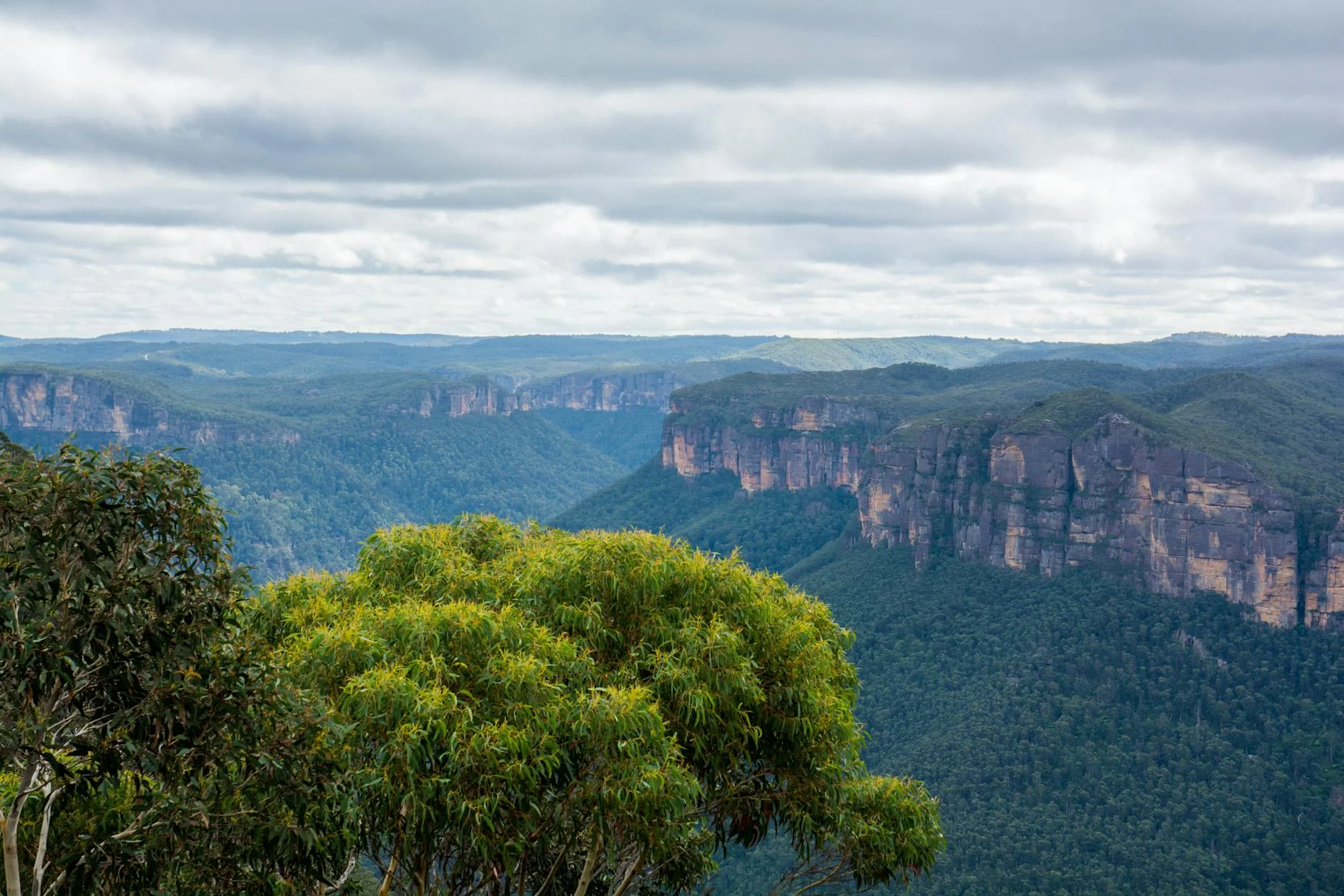 The Grose Valley from Mount Tomah - one of the deepest Blue Mountains canyons