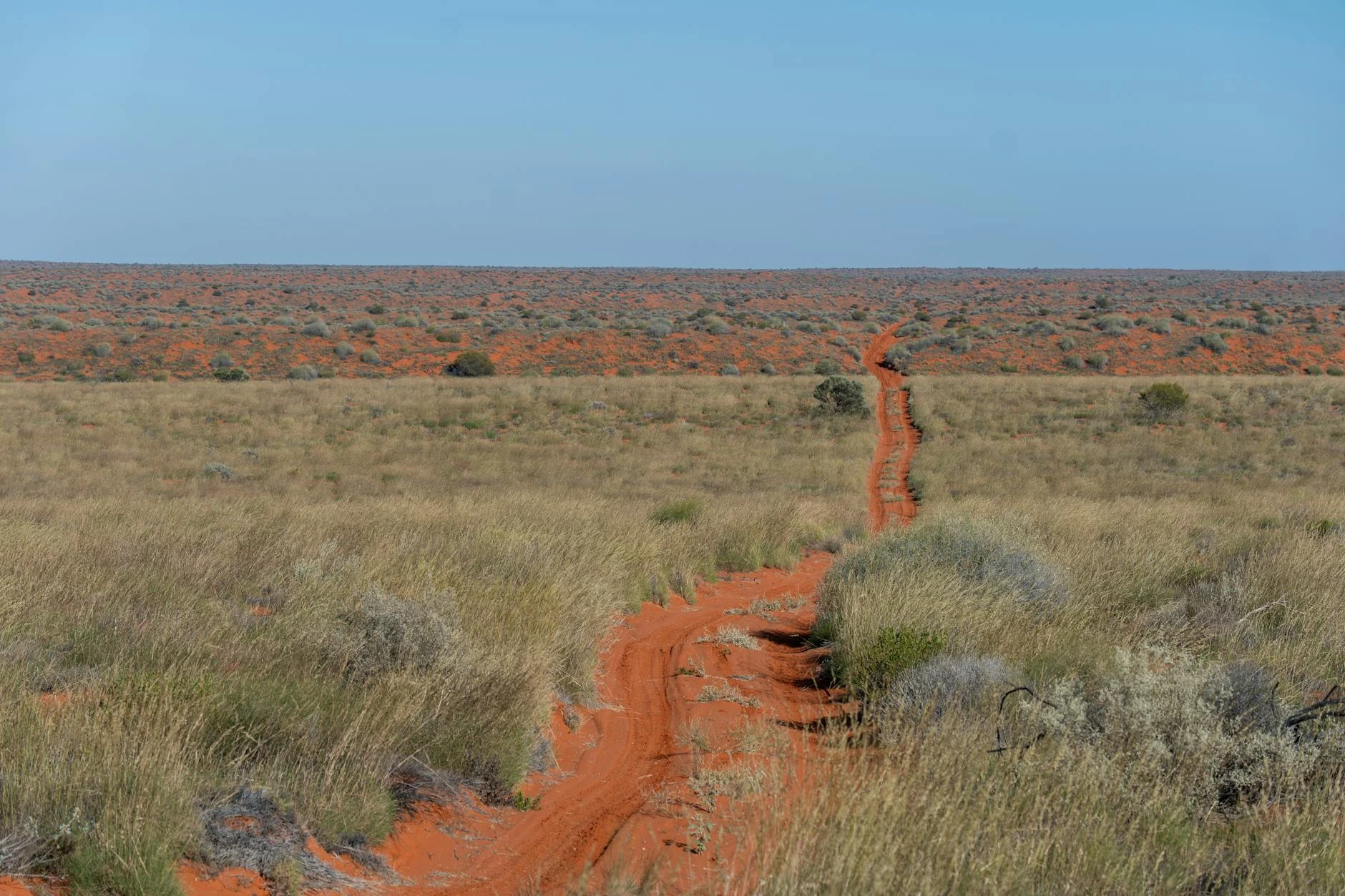 The Birdsville Track approaching the red sand country