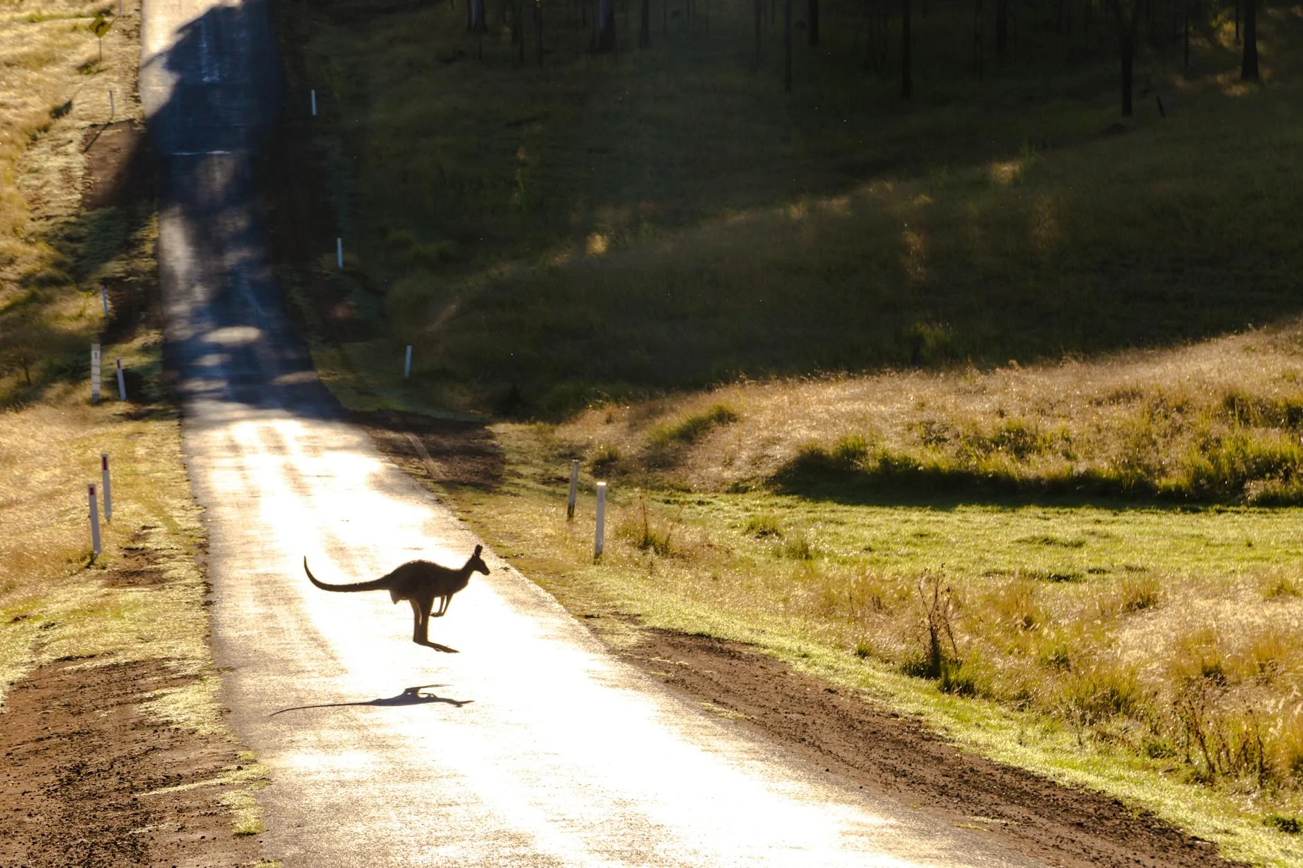 Brindabella Range summit - the ACT-NSW border crossing
