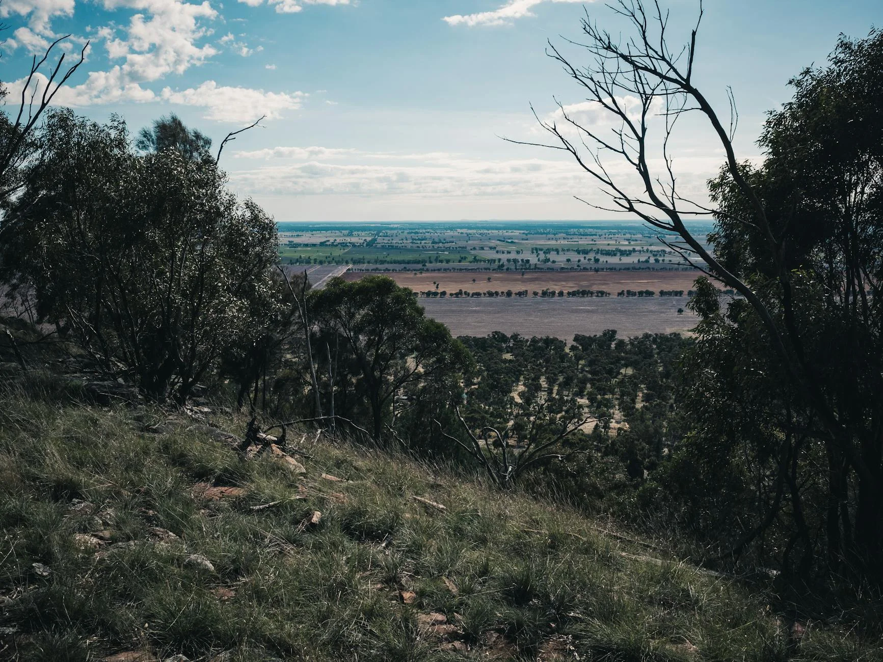 The Darling Downs from the summit - mountain to plains in one view
