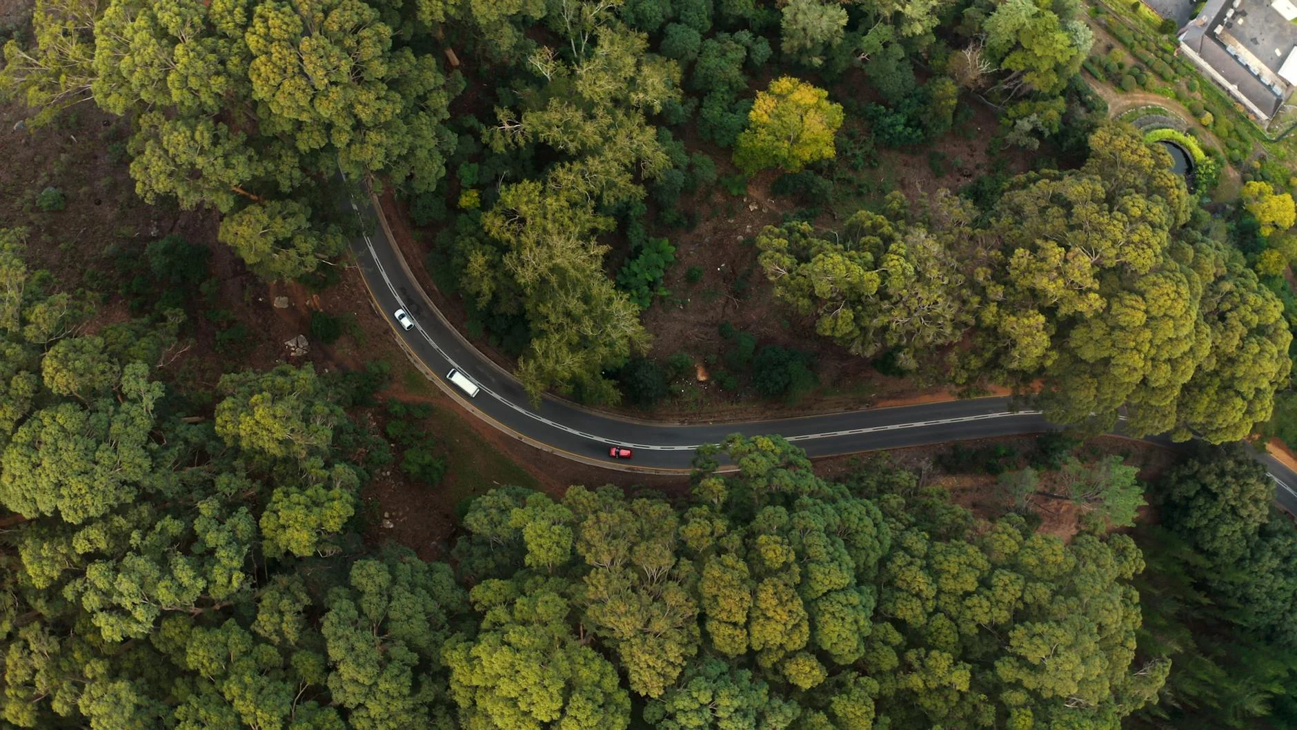 Above the canopy - the view from the Donna Buang lookout tower