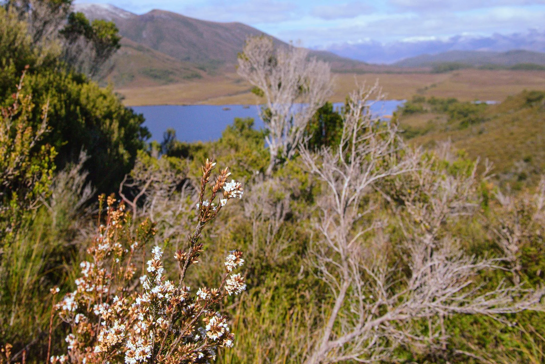 Southwest National Park - World Heritage wilderness beyond the road's end