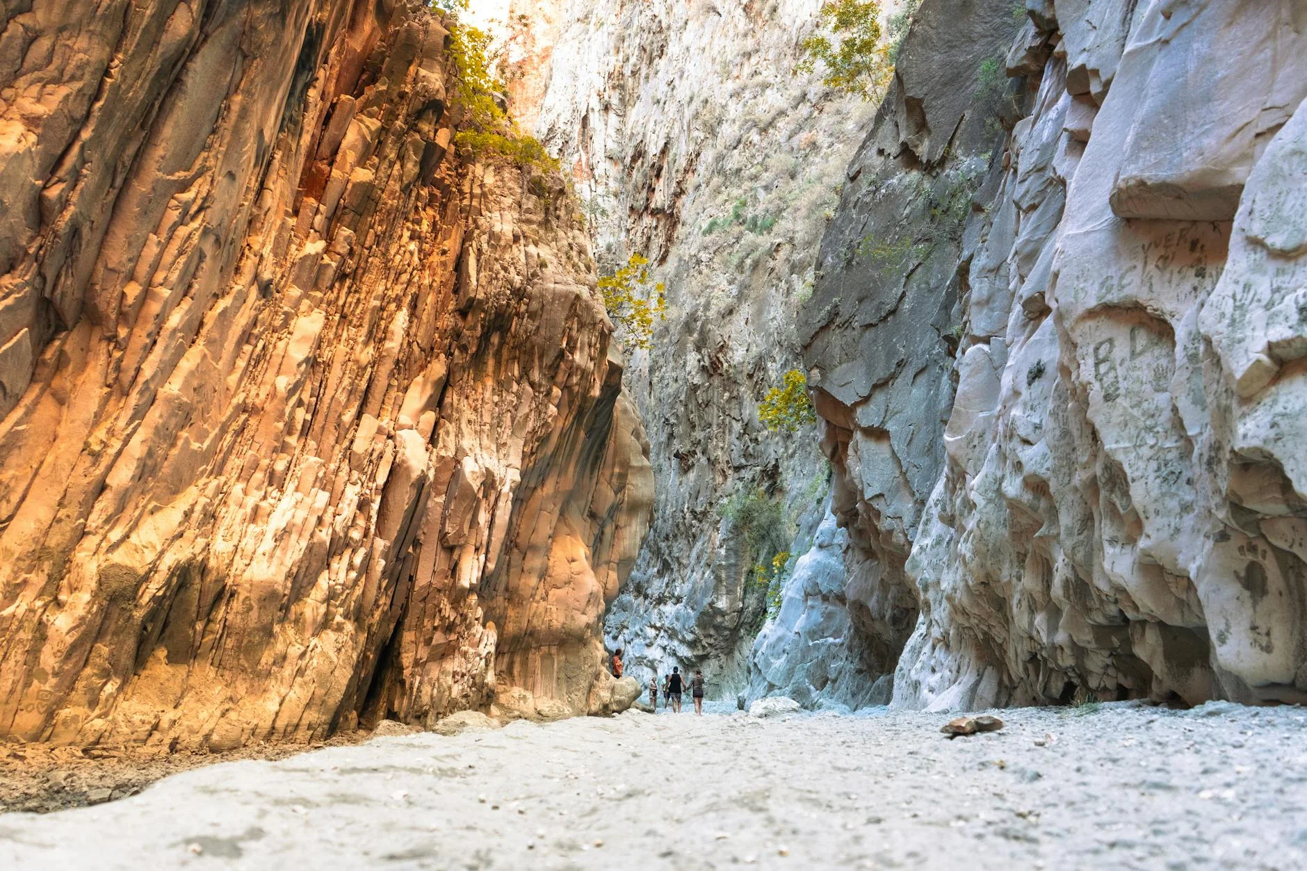 Brachina Gorge - 650 million years of geology exposed in the walls