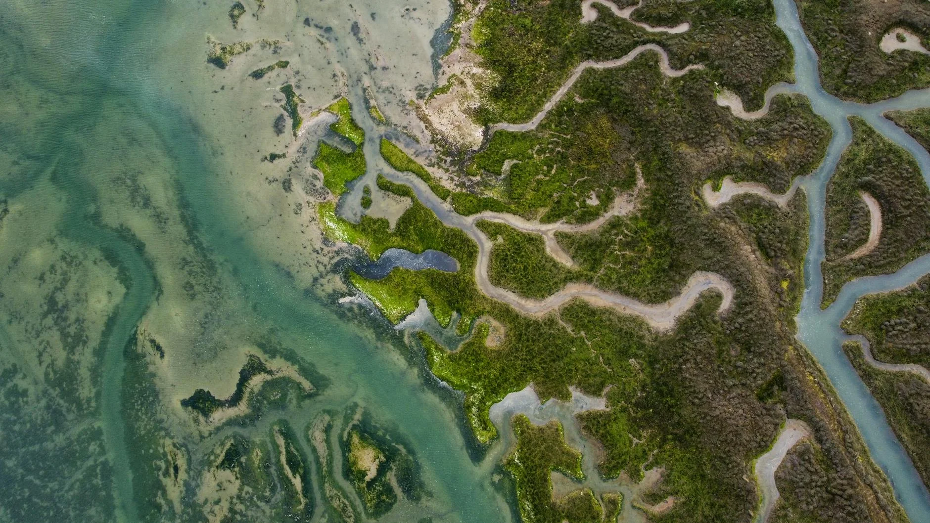 Fog Bay tidal flats - world-class barramundi habitat