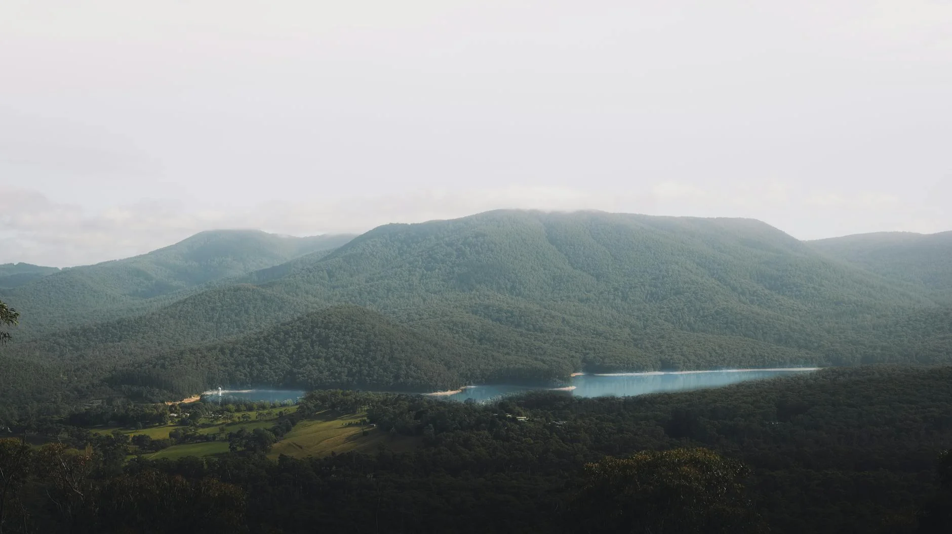 The foothill farmland between Gembrook and Healesville