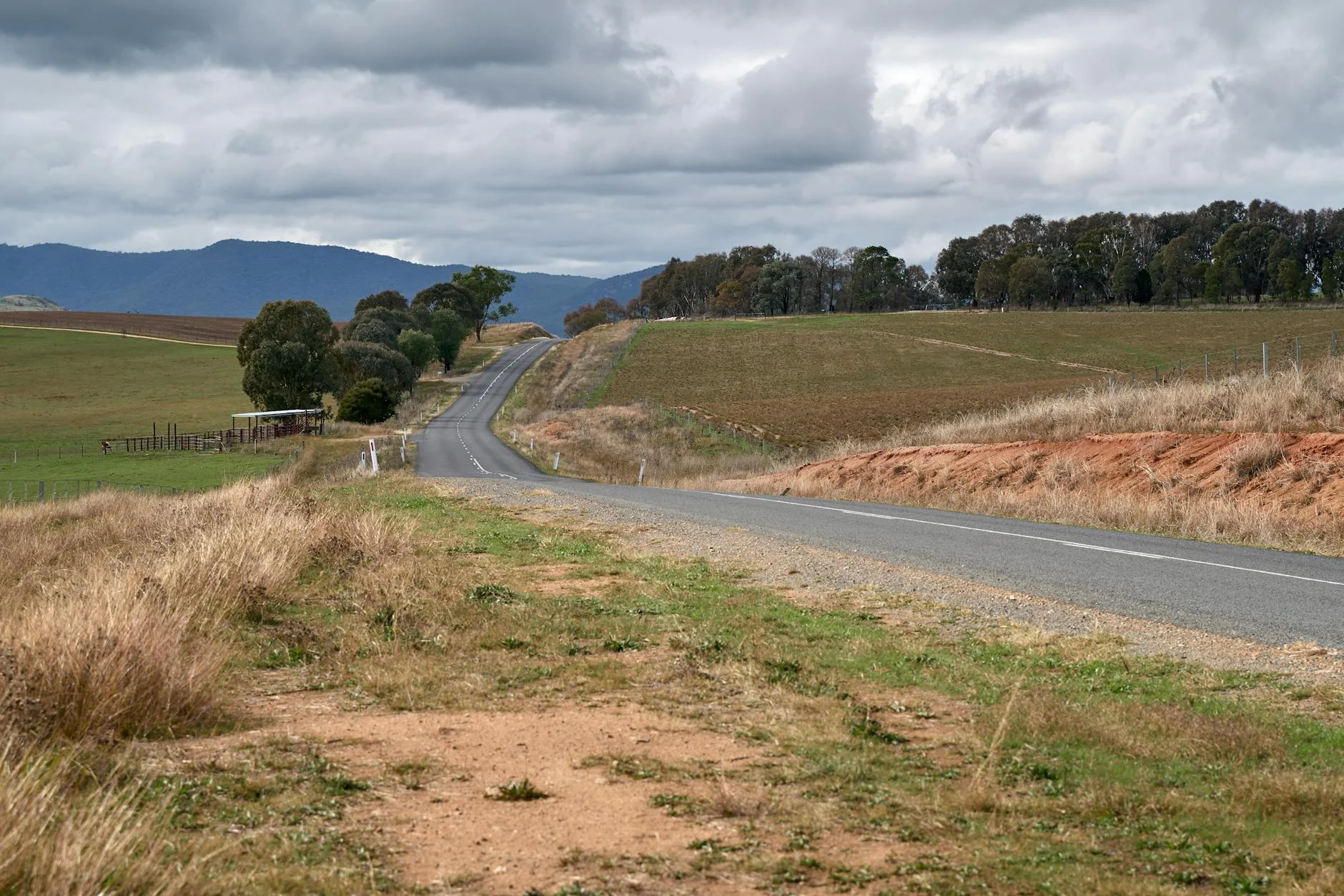 Rolling back road through the Dandenong foothills