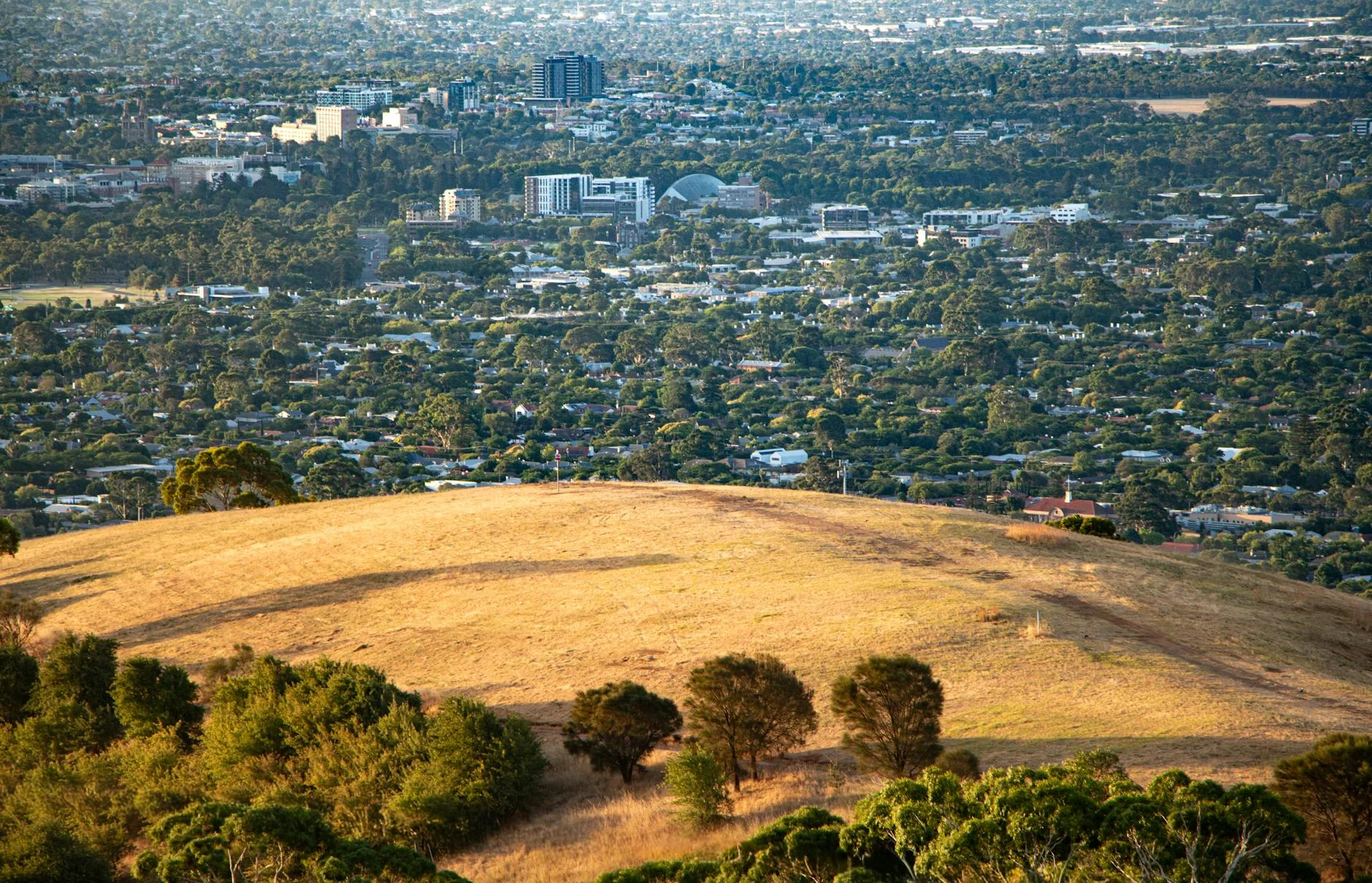 The Adelaide Hills ridge near Crafers - forested escarpment above the city