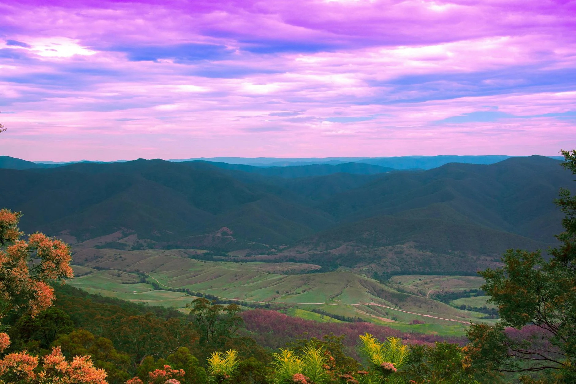 Kangaroo Valley from the escarpment - pastoral country since the 1830s