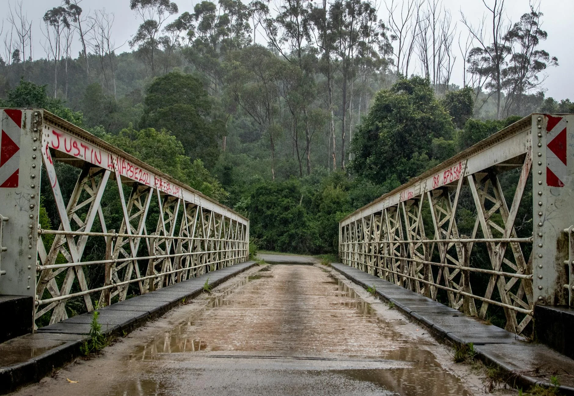 Single-lane rainforest section through the Border Ranges