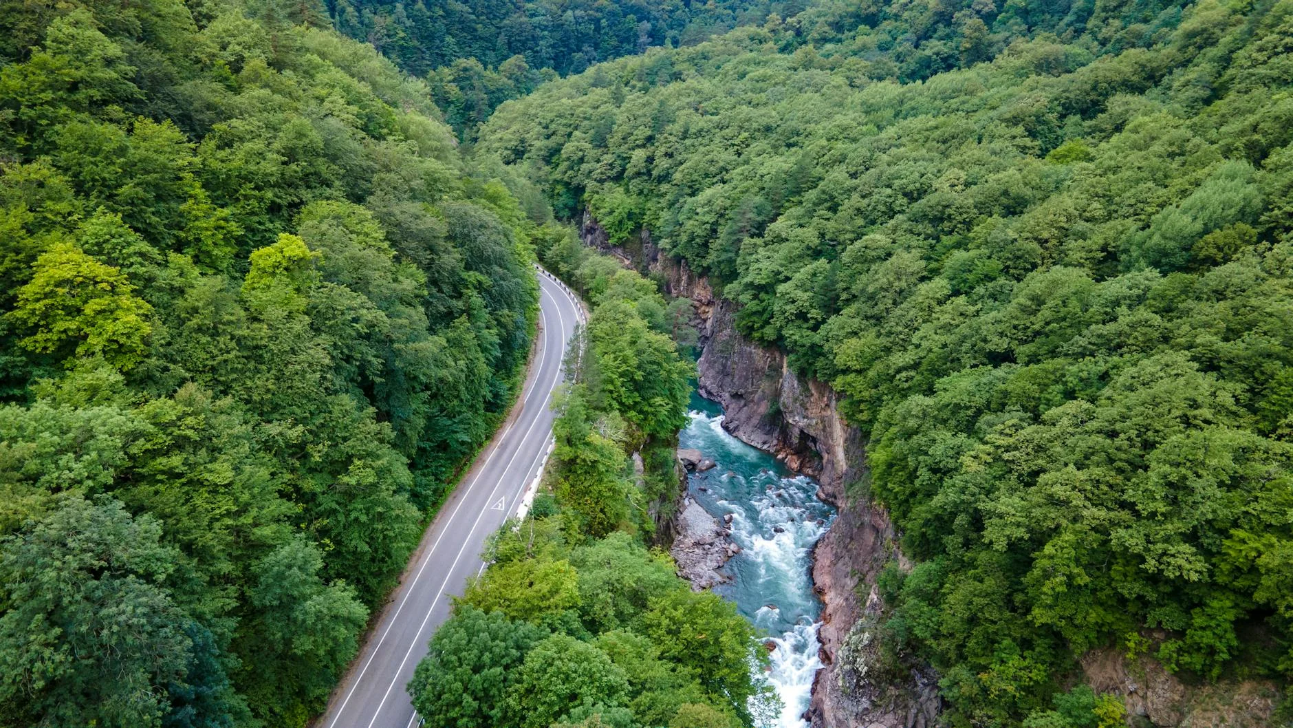 The Mersey River gorge below the forest road