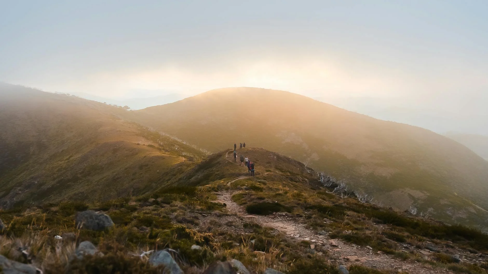 The Victorian Alps from the Hotham plateau
