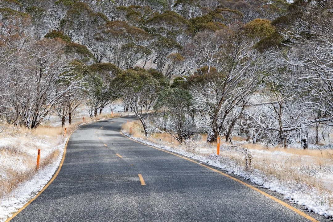 Switchbacks above the treeline on the Hotham climb