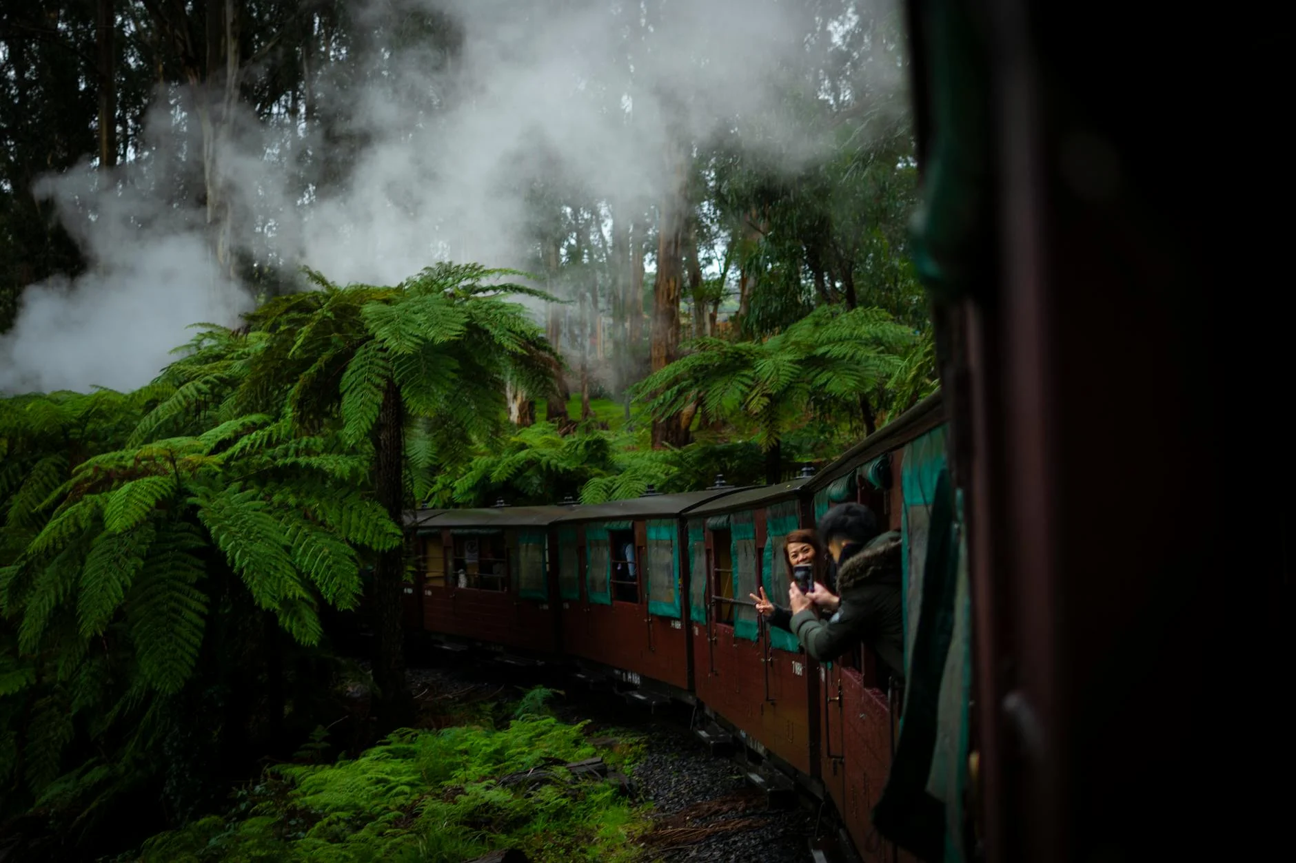 Hotham Valley Railway - steam through the jarrah forest
