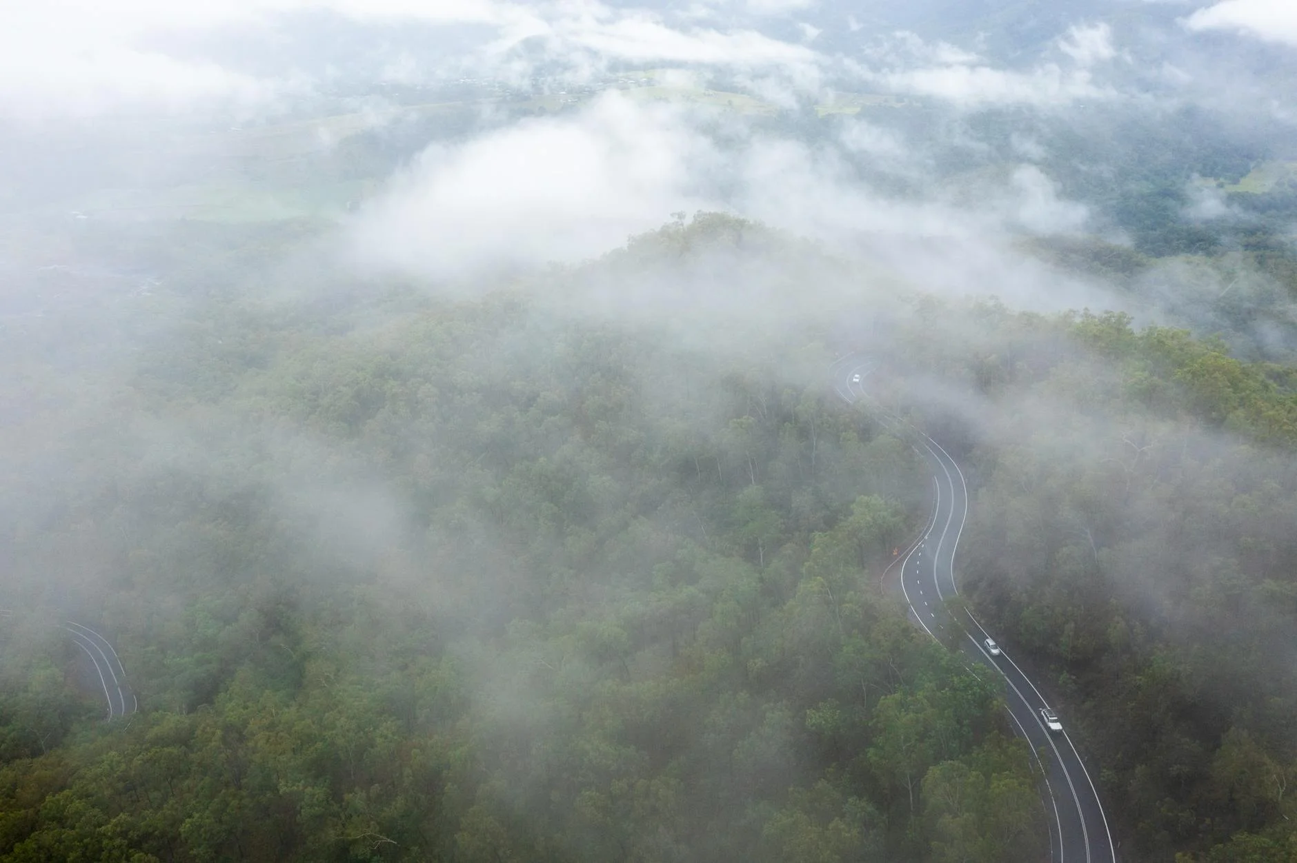 Tight hairpins through the World Heritage rainforest - 800m of climb