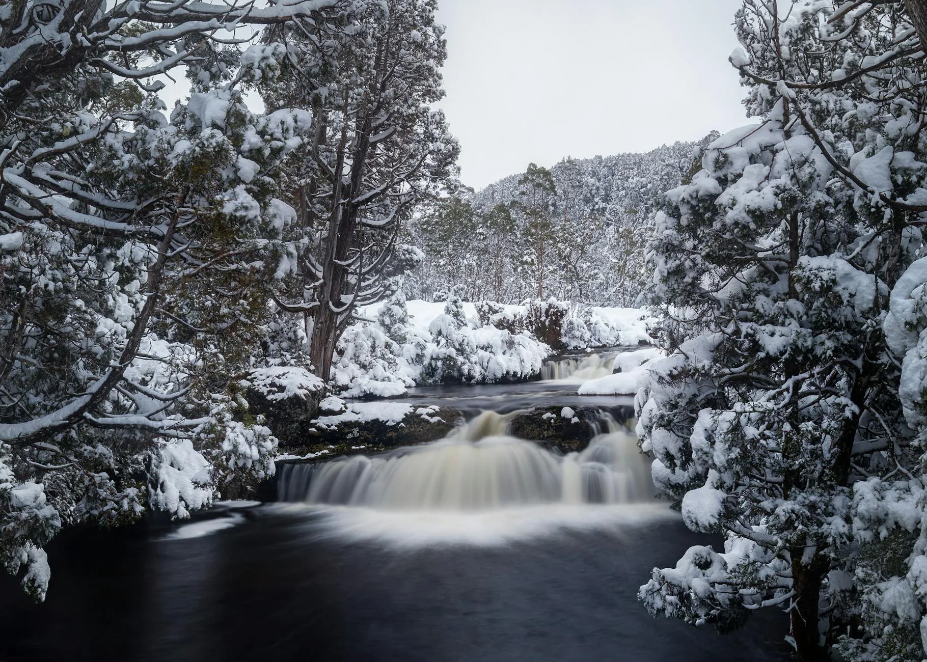 Arthur River - one of the cleanest rivers in the world
