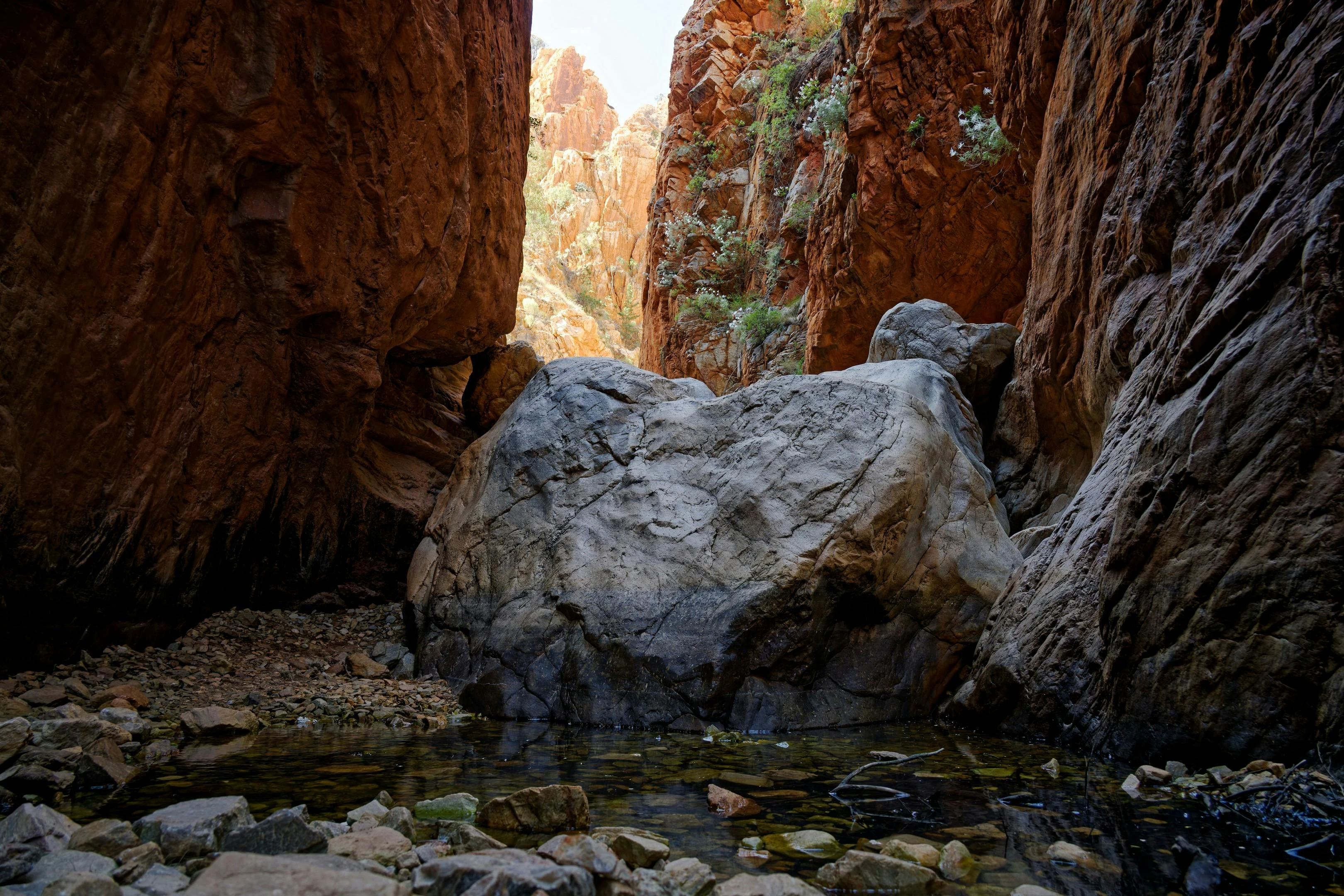 Robinson Gorge sandstone walls and waterhole