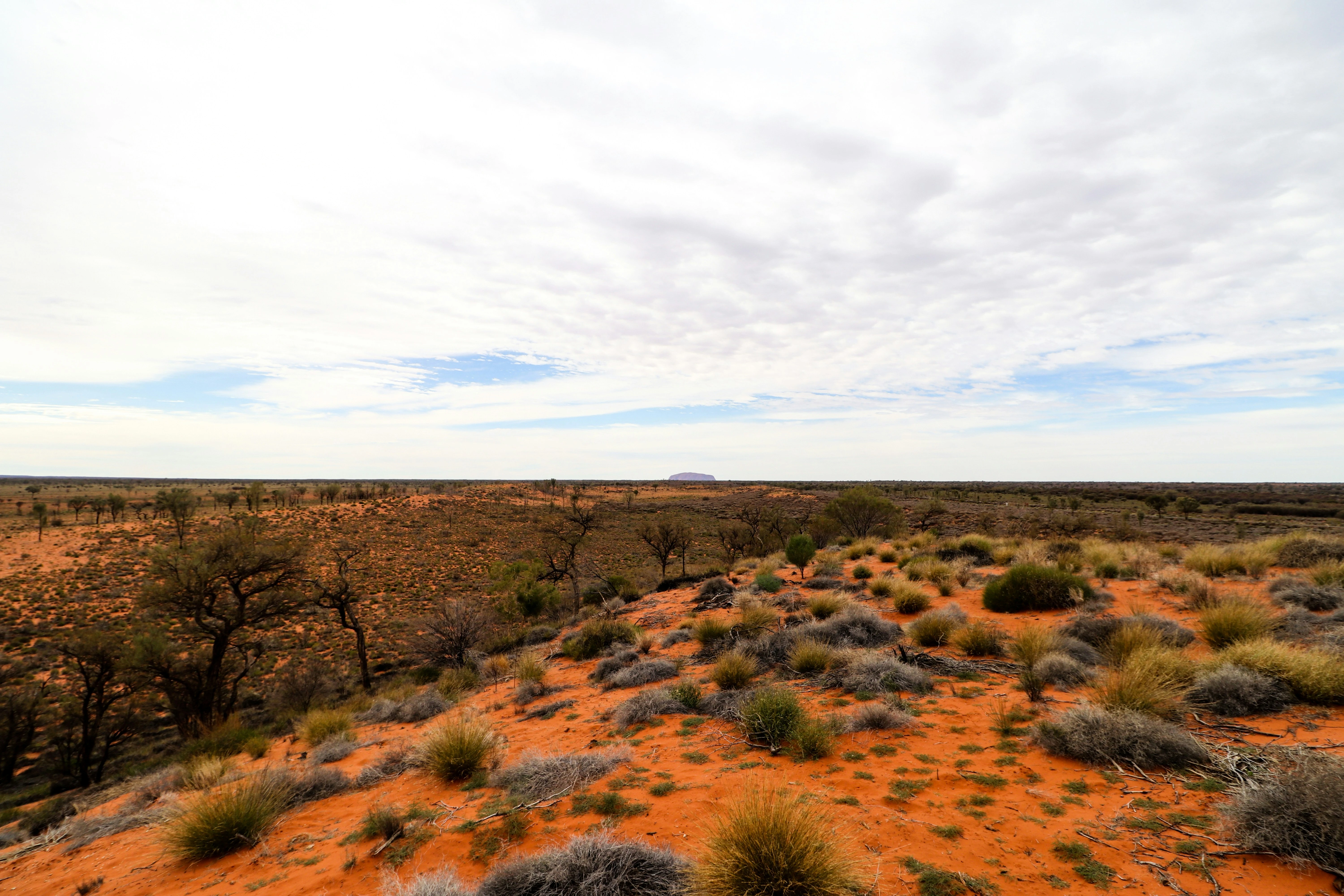 Parallel sand dunes on the WAA Line crossing