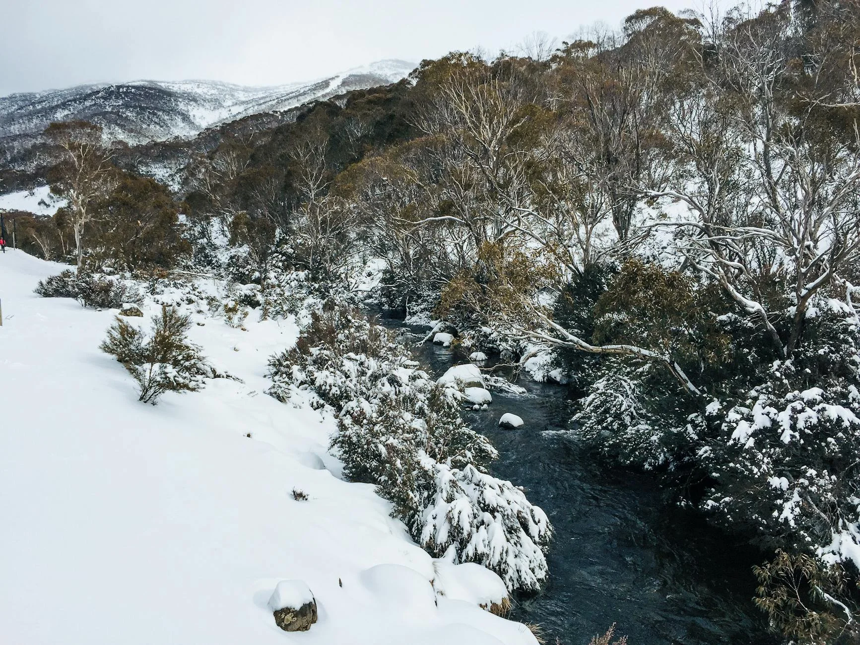 The Snowy River gorge - one of the deepest in NSW
